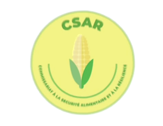 logo_CSAR